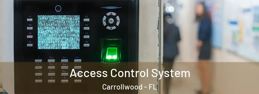 Access Control System Carrollwood - FL