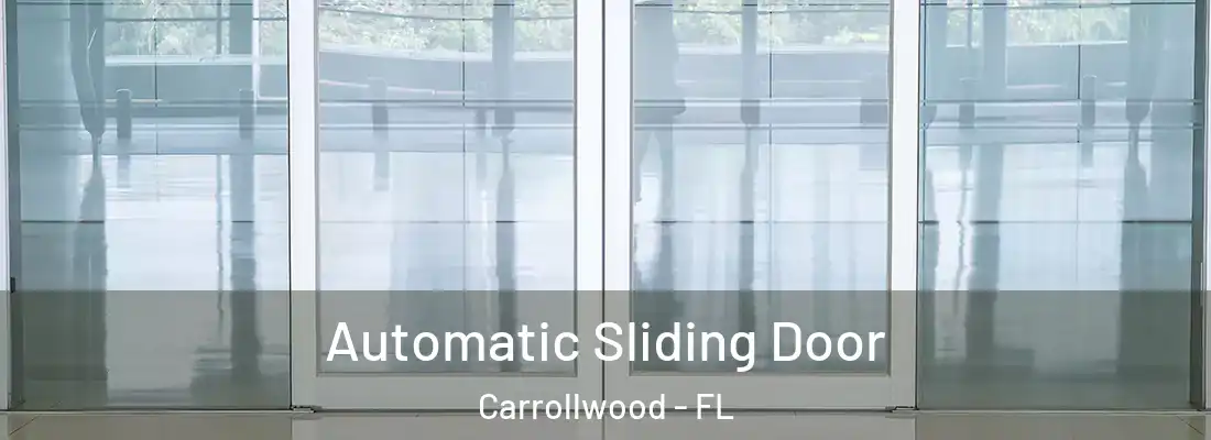 Automatic Sliding Door Carrollwood - FL