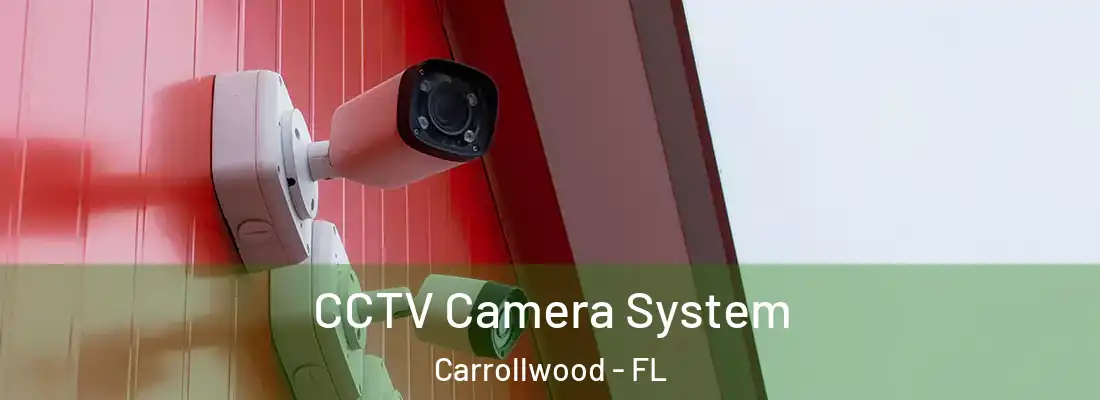  CCTV Camera System Carrollwood - FL