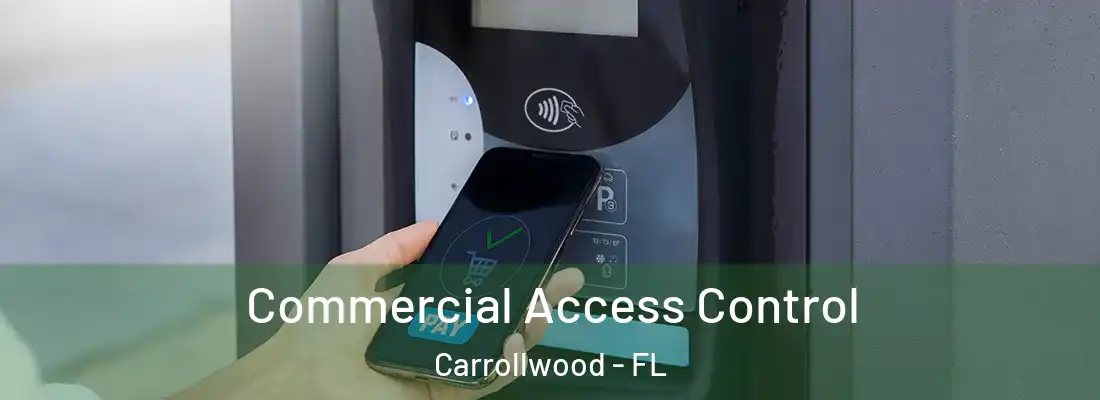 Commercial Access Control Carrollwood - FL