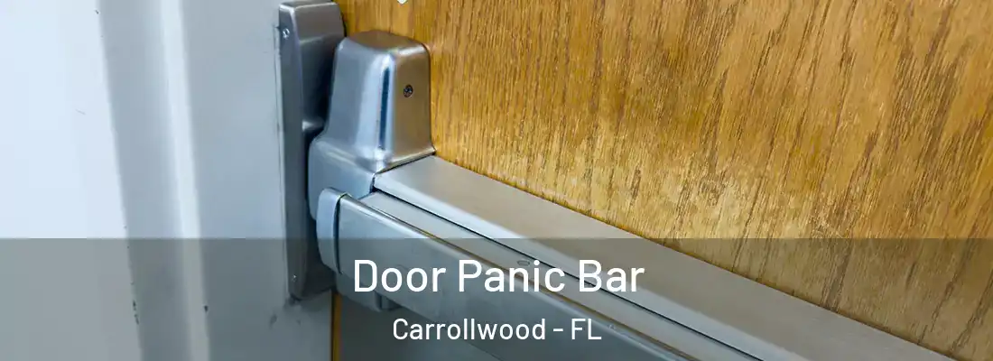 Door Panic Bar Carrollwood - FL
