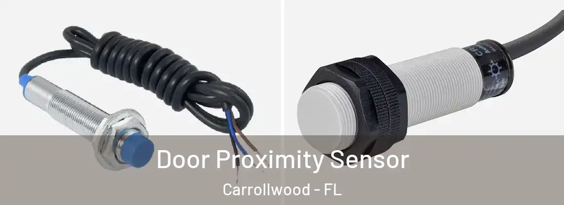 Door Proximity Sensor Carrollwood - FL