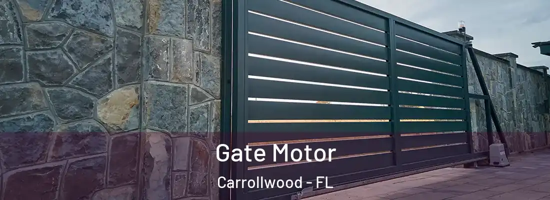  Gate Motor Carrollwood - FL