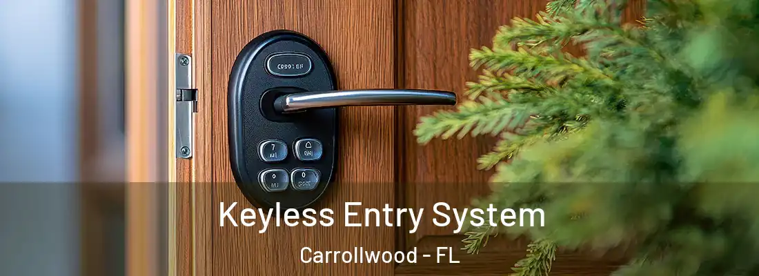 Keyless Entry System Carrollwood - FL