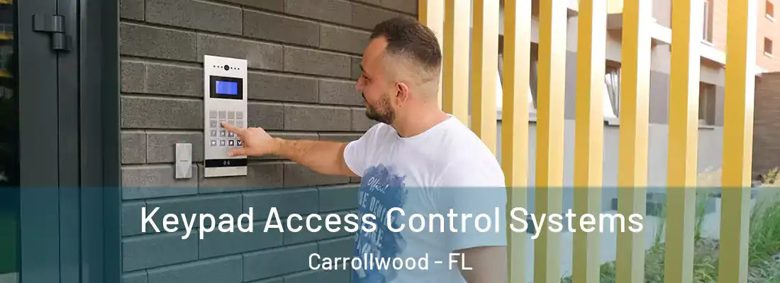 Keypad Access Control Systems Carrollwood - FL