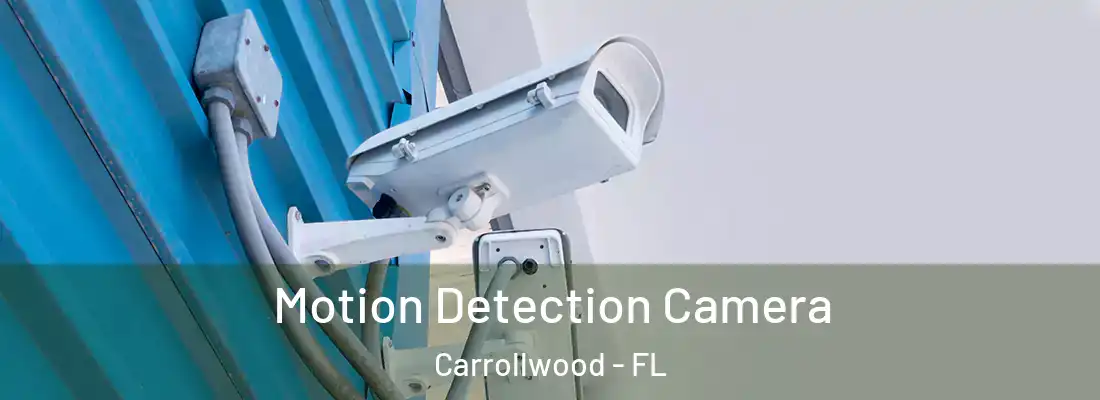Motion Detection Camera Carrollwood - FL